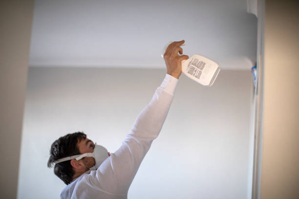 Home Mold Removal in Queens, NY