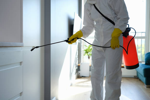 Best Residential Mold Removal  in Queens, NY